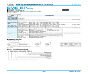 BSME100ETD102MK20S.pdf