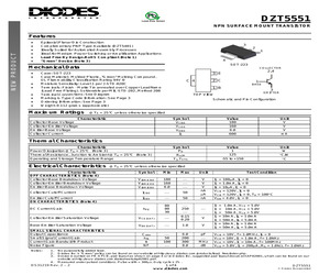 DZT5551-13.pdf