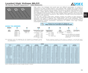 SV11JA101JAR.pdf