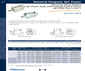 NH0GG50V125-3.pdf