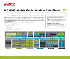 MGM13P02F512GA-V2R.pdf