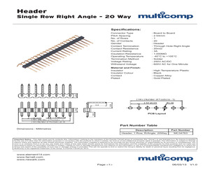 WDS100T1B0A.pdf