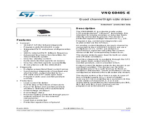 VNQ6040S-E.pdf