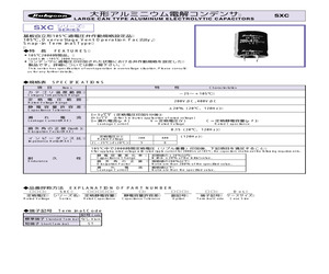 200SXC220M30X20.pdf