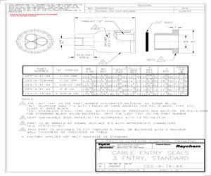 CES-2-T1B.pdf