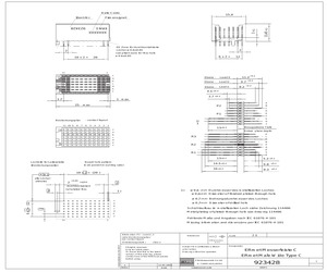 923428.pdf