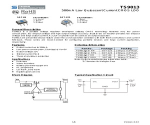 TS9013DCWRPG.pdf