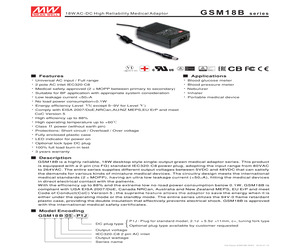 GSM18B05-P1J.pdf