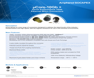 UCOM10G+LCBGA.pdf