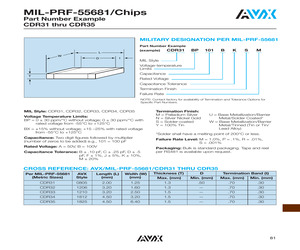 CDR31BP100BKMR\M.pdf