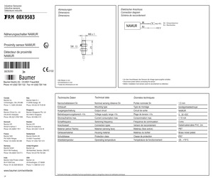 IFRM08X9503.pdf