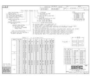 ICA-308-ZEGT-H.pdf