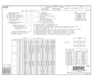 ICA-318-SGT-L-H.pdf