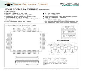 WS1M32V-17G3MX.pdf