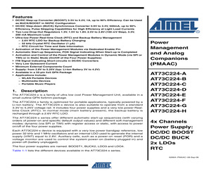 AT73C224-E.pdf