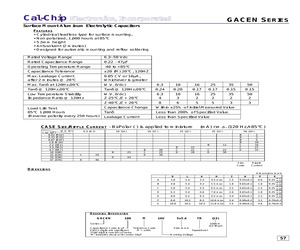 GACEN100M16V5X5.4TR(13).pdf