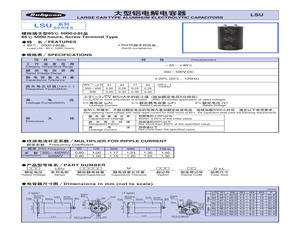 400LSU10000MNB90X151.pdf