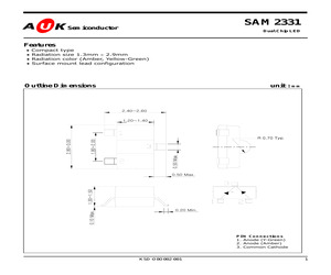 SAM2331.pdf