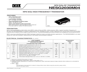 NESG2030M04-EVNF24.pdf