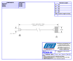 PE3828-6.pdf