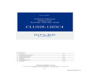 CLU028-1203C4-303M2M2-F1.pdf