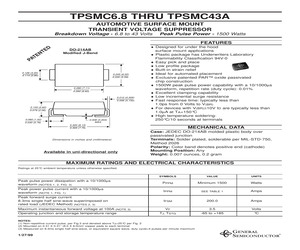 TPSMC10.pdf