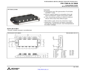 PM75B4L1C060.pdf