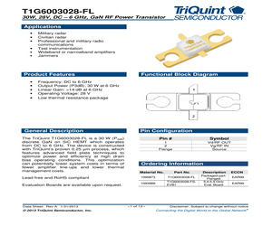 T1G6003028-FL.pdf