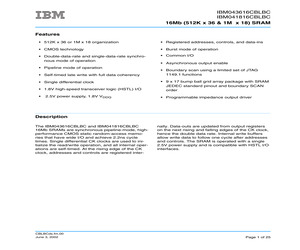 IBM043616CBLBC-22.pdf