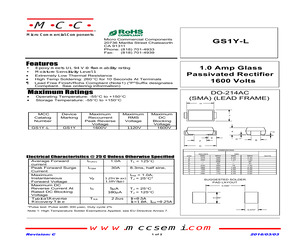 GS1Y-LTP.pdf