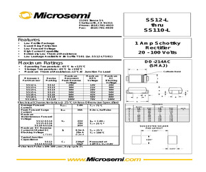 SS13-LTS01.pdf