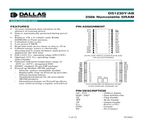 DS1230Y-120-IND.pdf