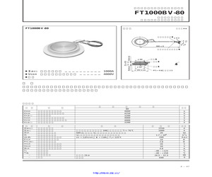 FT1000BV-80.pdf