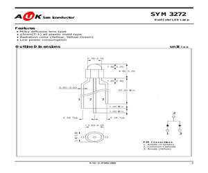 SYM3272.pdf