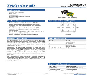 TQM963001.pdf