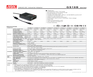 GS18B03-P1J.pdf