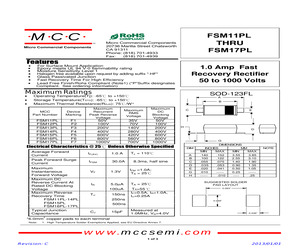 FSM15PL-TP.pdf