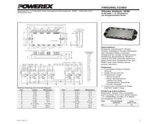 PM50B6L1C060.pdf