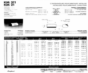 KM21B0.1545160.pdf