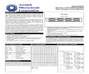 AK632256AWGM-12.pdf