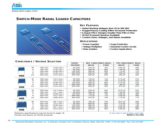 101H09W725KQ4.pdf