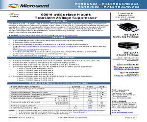 MASMBG12CAE3.pdf