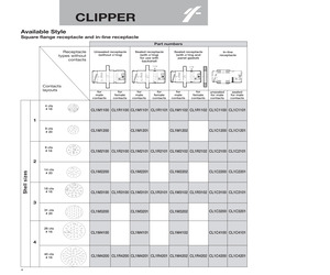 CL1R2100.pdf