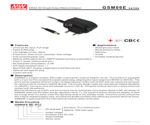 GSM06E09-P1J.pdf