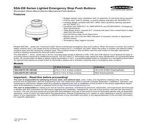 SSA-EB1PLYR-12ECQ8.pdf