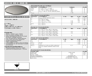 SKCD9C060I3.pdf