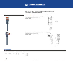 RKMV 3-06/5M.pdf