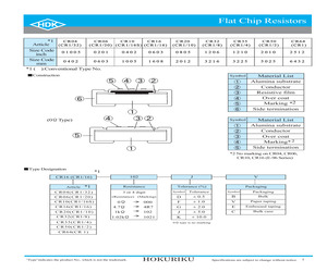 CR101000JB.pdf