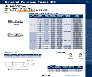 FR22AM69V100P.pdf