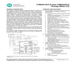 71M6541G-IGT/F.pdf